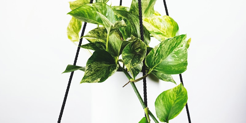 2026世界杯足球比赛现场直播画面 - 球员激烈拼抢瞬间